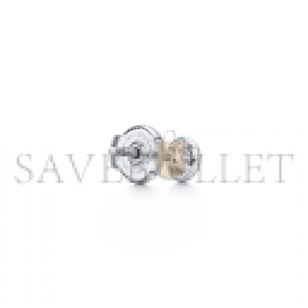 T*f*ny soleste earrings 60572887
